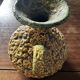 Fat Lava ceramic pitcher from the Cyclope workshops (Charles Cart), 1970s