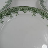 8 assiettes plates lierre st Amand et Hamage