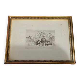 Engravings series fables by Jean De La Fontaine signed by Valentin Foulquier 19th century