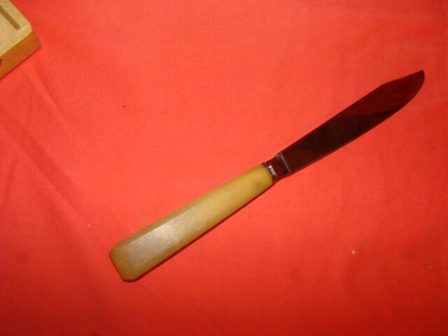 Set of 12 table knives and 12 cheese knives in bone and stainless steel.