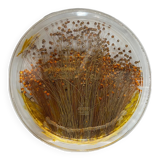 Plateau en plexiglas avec inclusions