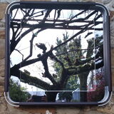 Mirror 70s double tain