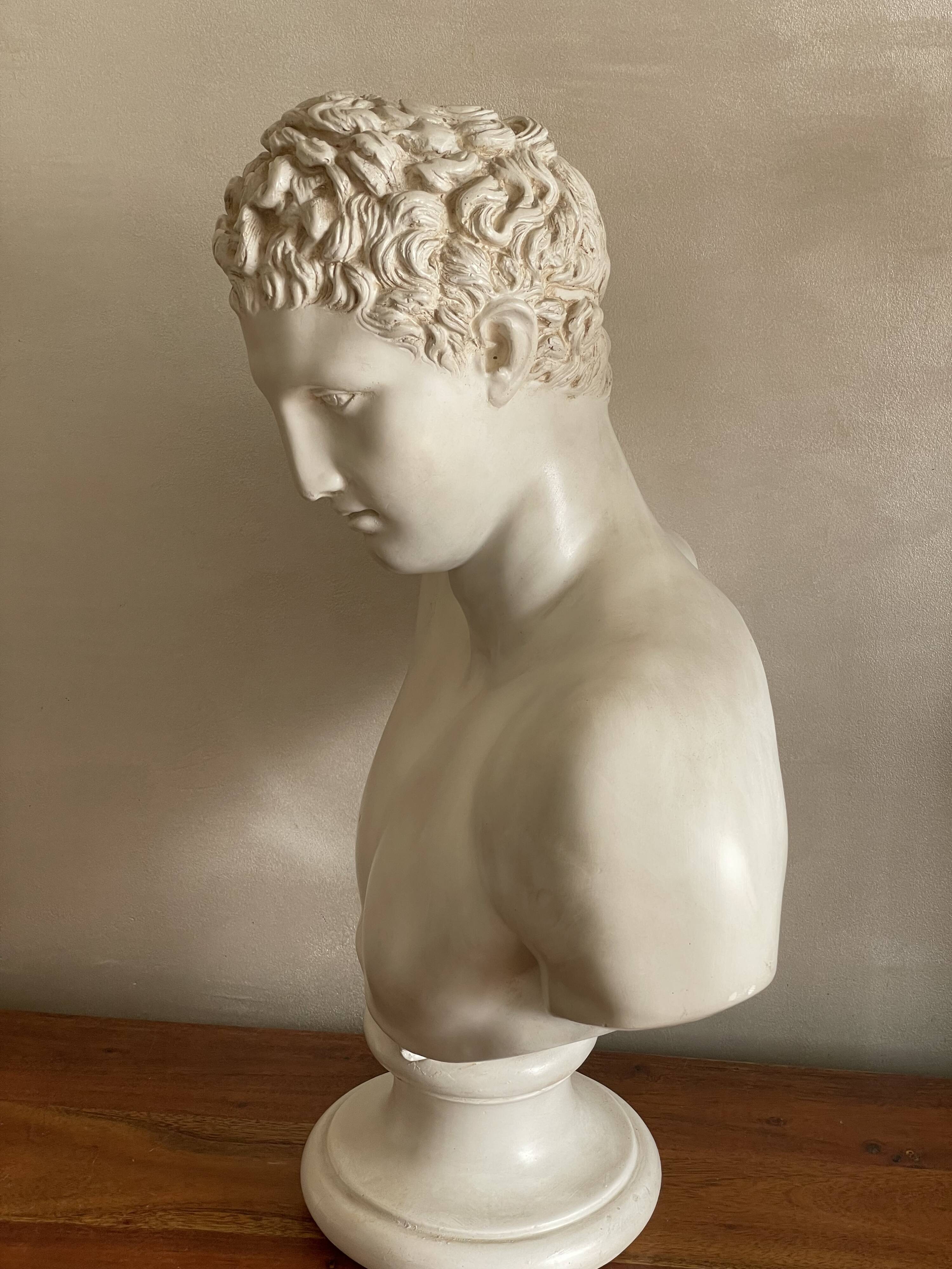Large Hermes plaster bust