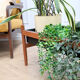 Jardinière en teck