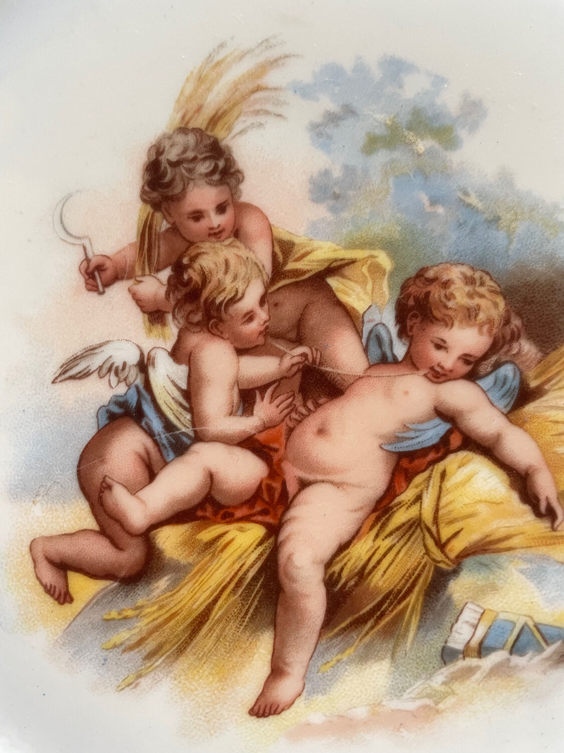 Old plate Cherub cherubs Elite cherubs