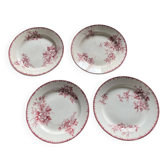 Set of 4 Maastricht earthenware dinner plates