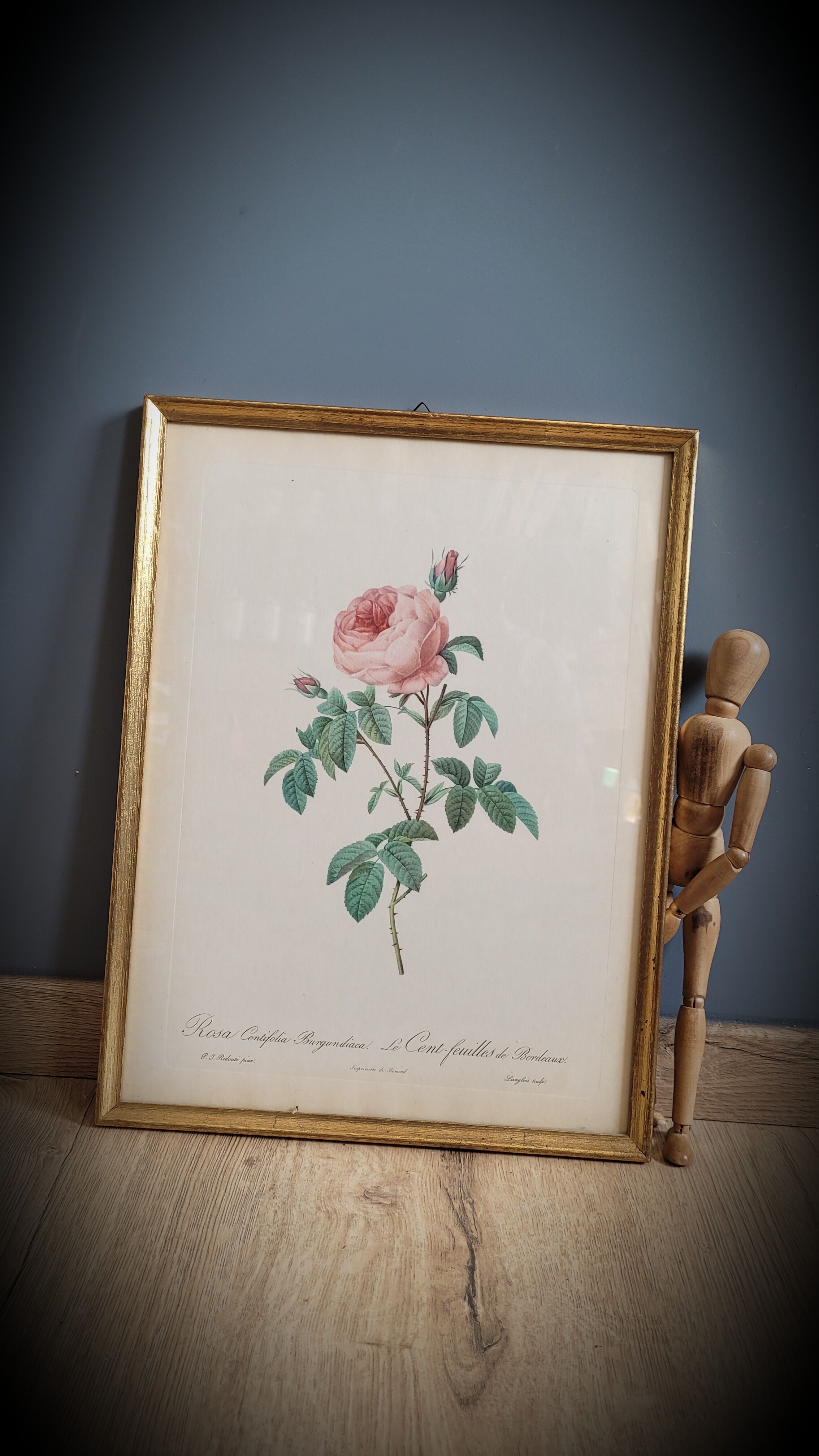 Frame Litho rose Bordeaux