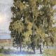 Huile originale sur panneau de bois "les Bouleaux"