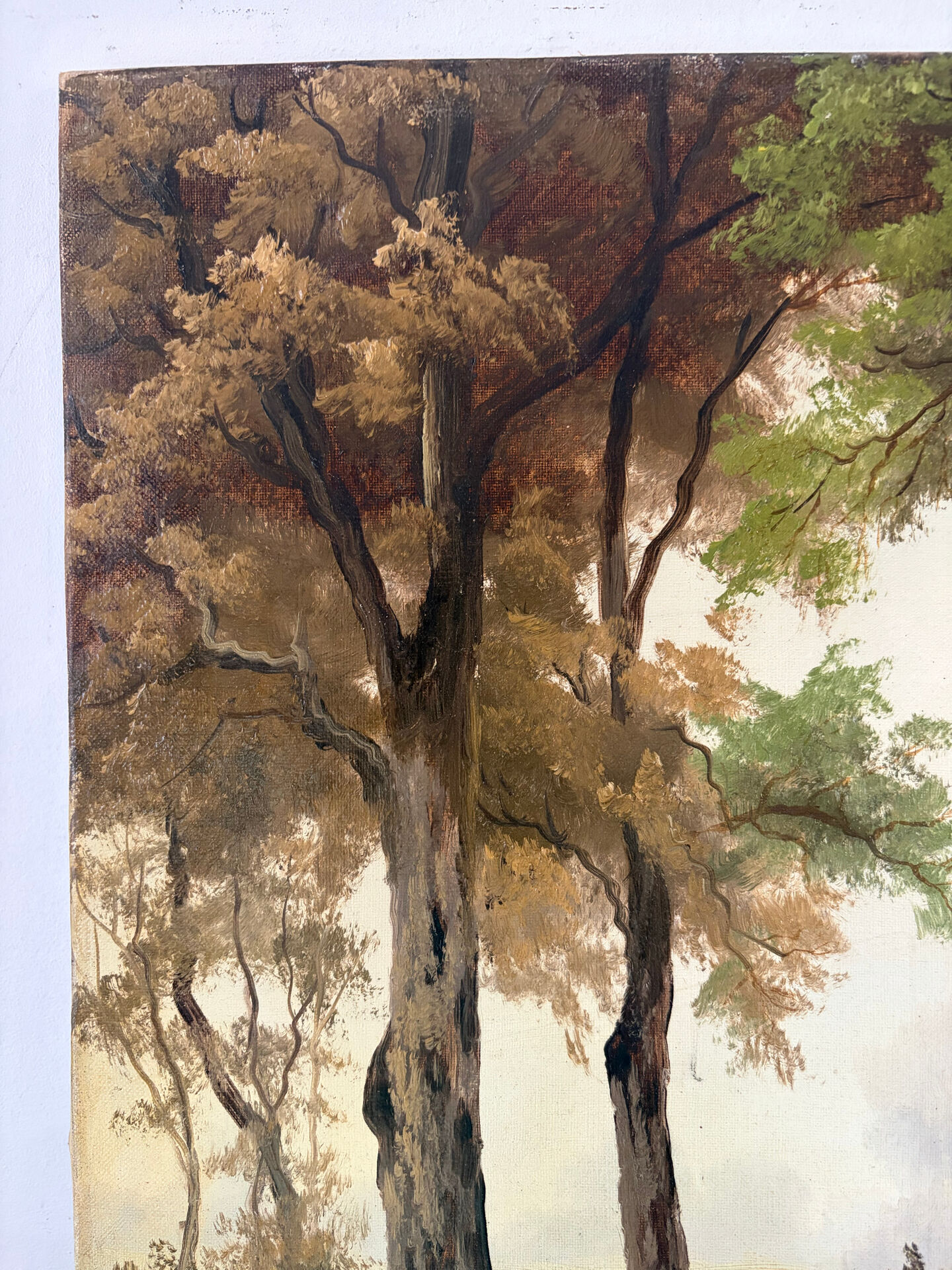 Le grand chêne, huile sur toile signé