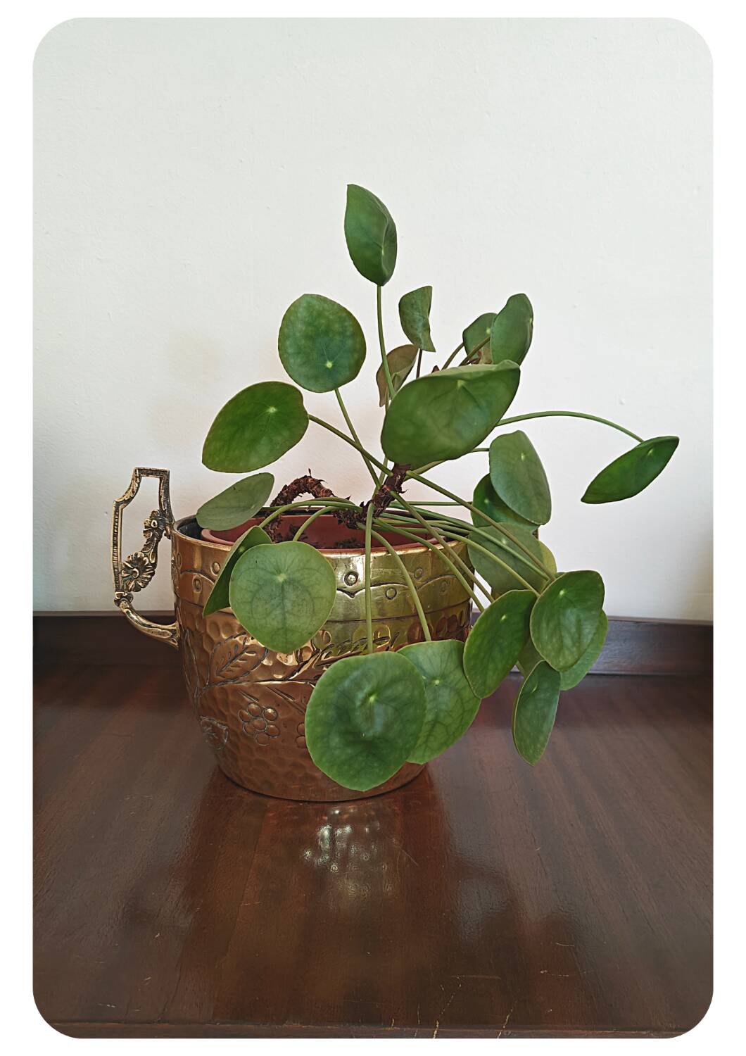 Antique Brass Planter