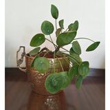 Antique Brass Planter