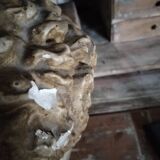 Tête antique plâtre  homme début 20 éme