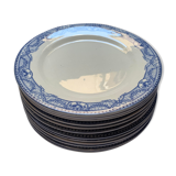 Set of flat blue plates