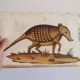 Pair of reproductions of the Codex Pomar of Natural History, Valencia, 1990