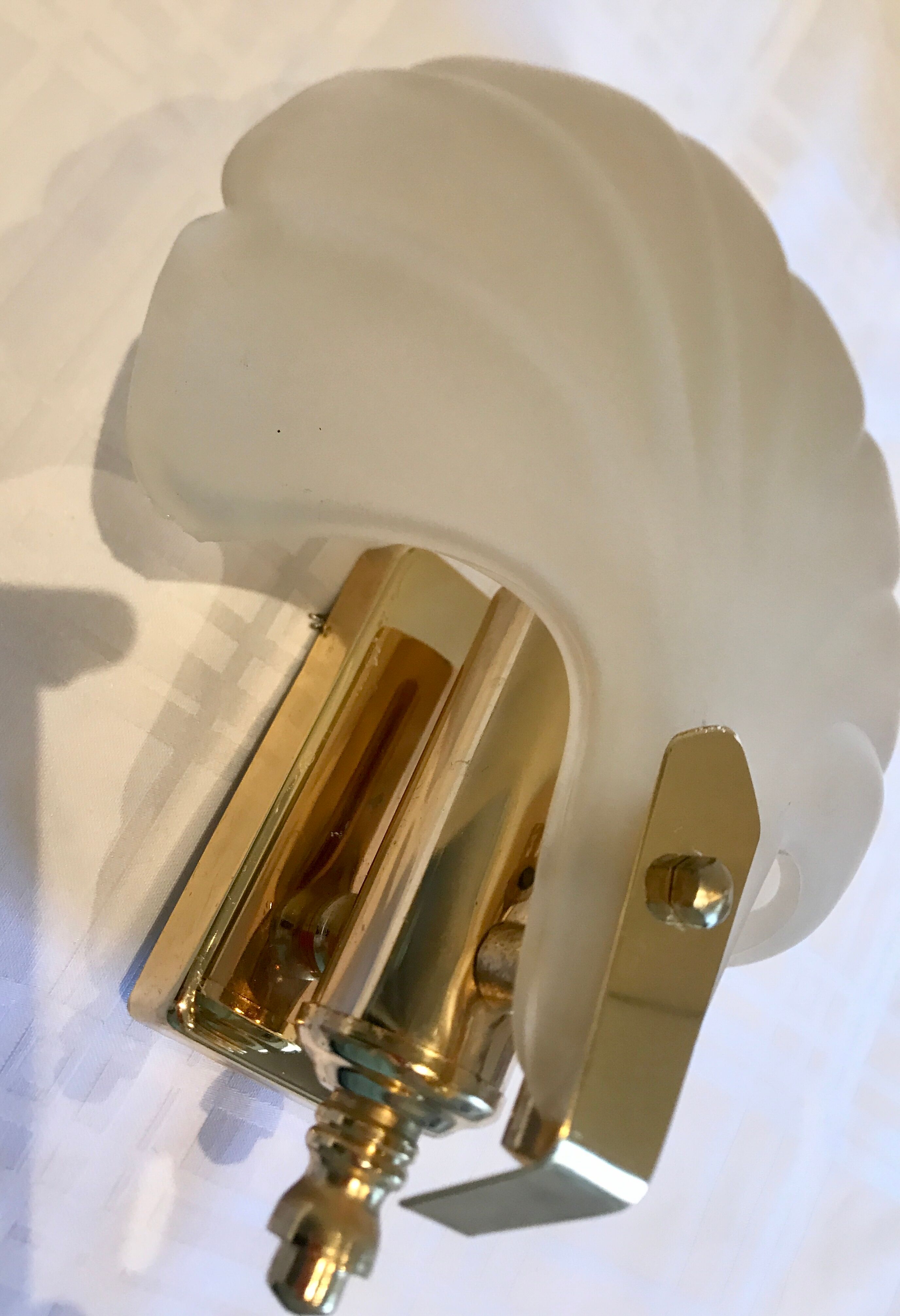 Pair of shell sconces