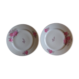 Old flat plates