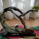 Bronze animalier