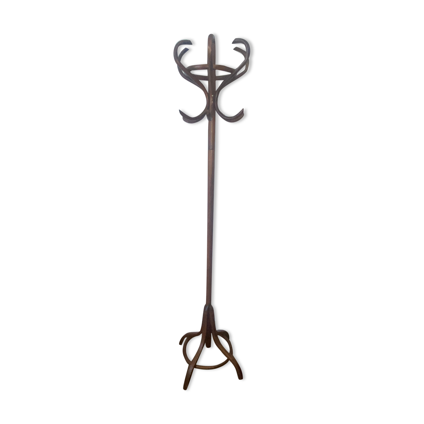 Coat rack parrot wood curved
