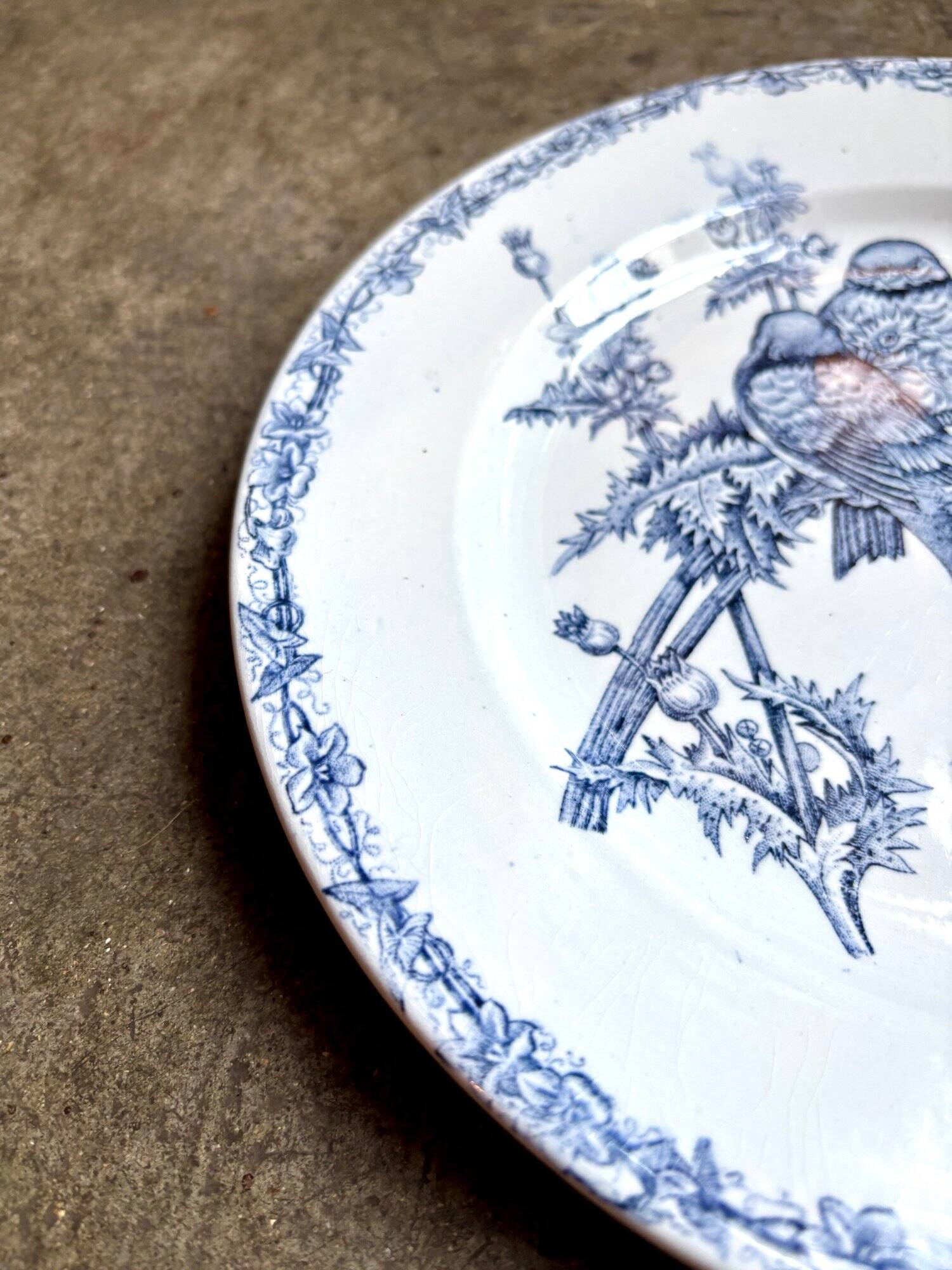 Clairefontaine plate dish - Léon Graves in ironstone, "Chardonnerets" service from the late 19th century.