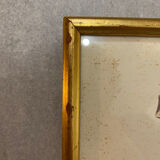 Planches zoologiques vintage -Papillons