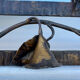 Wrought iron mirror with ivy Art Deco