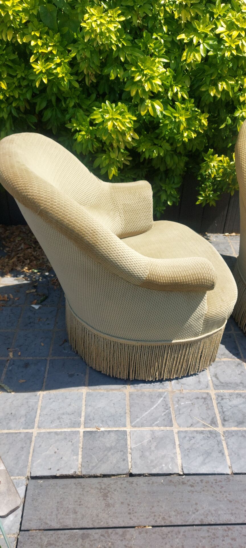 Frog chairs