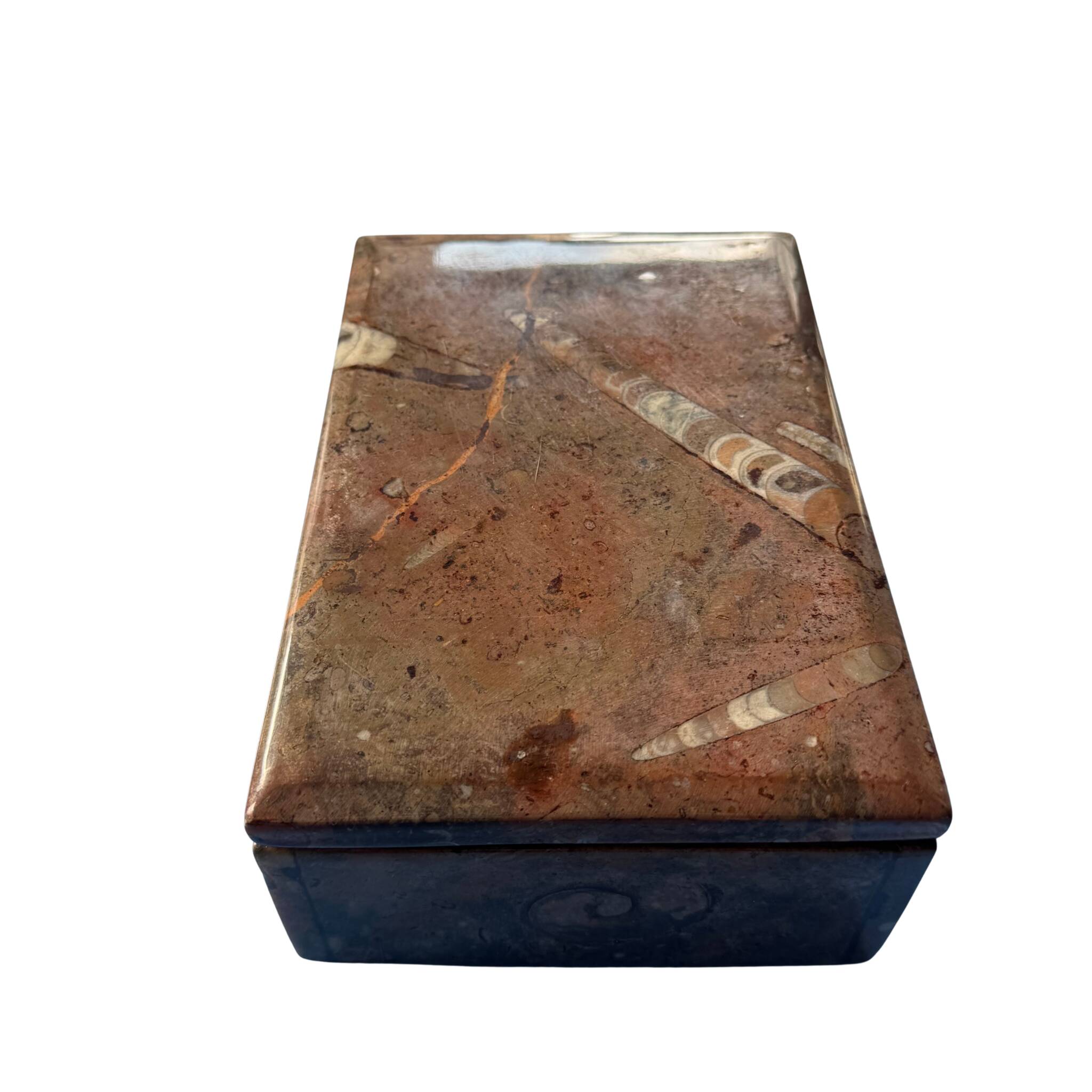 Boîte en pierre fossilisée Orthoceras