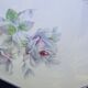 2 porcelain oval dishes