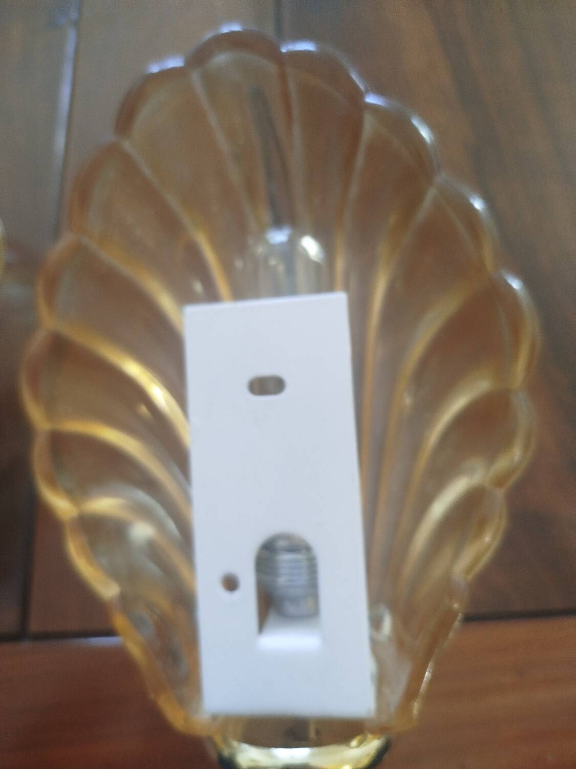Pair of shell wall sconces – striped Italian glass – 1970