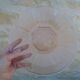 Art Deco plate in moulded pressed glass with a daisy pattern.