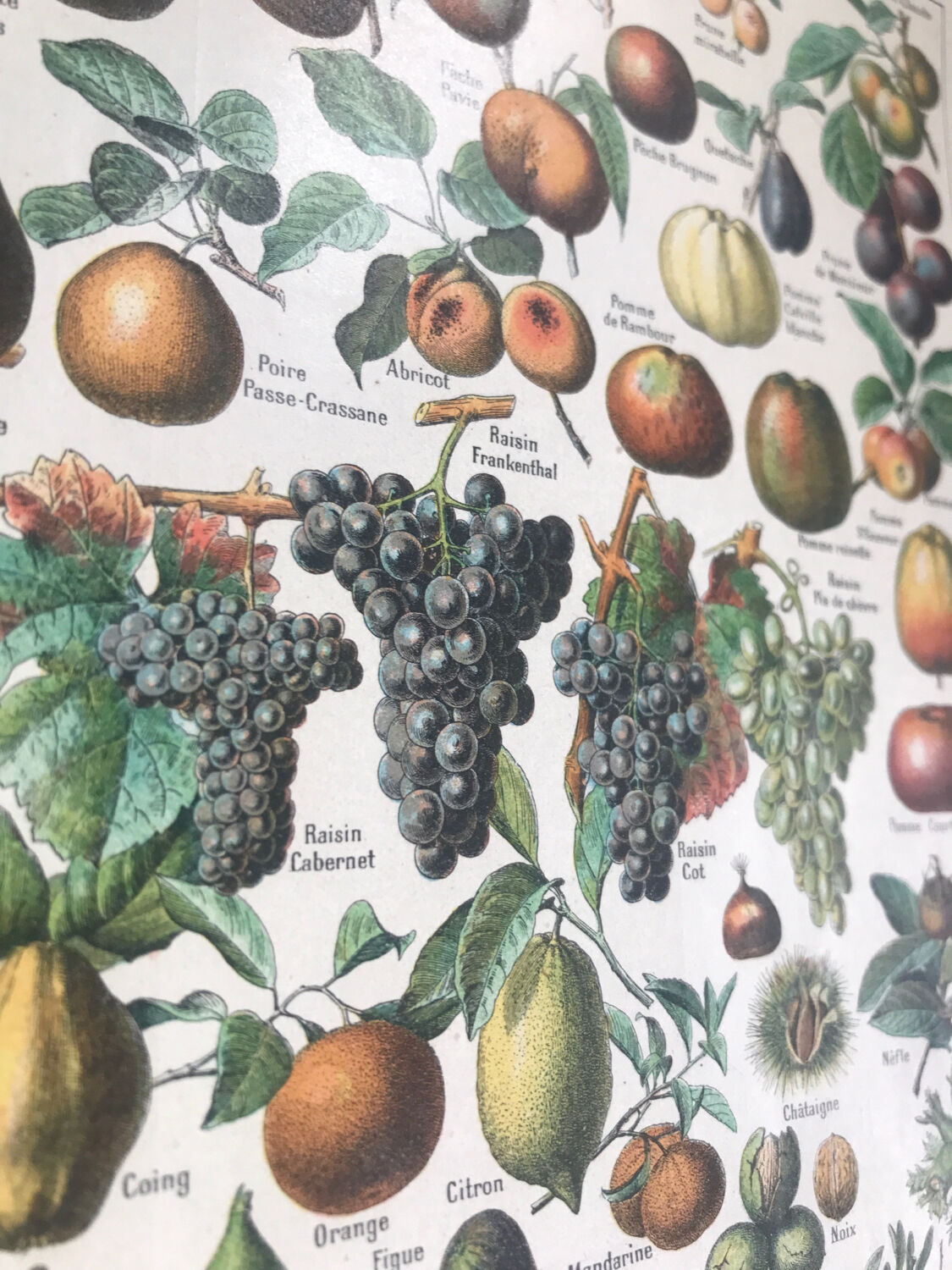 Original vintage fruit board