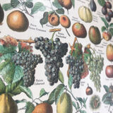 Original vintage fruit board