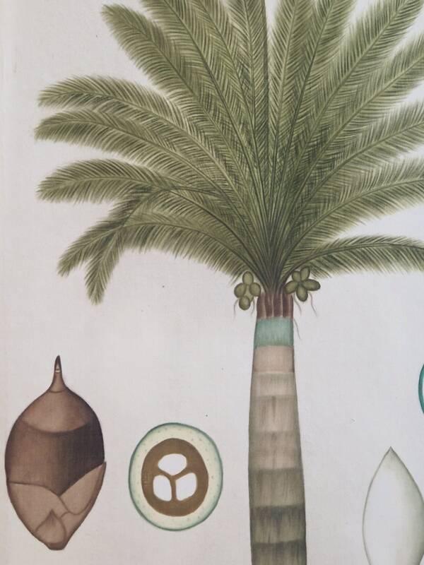 La Roche Laffitte (Born in 1943) - Watercolour drawing on silk - Palm tree