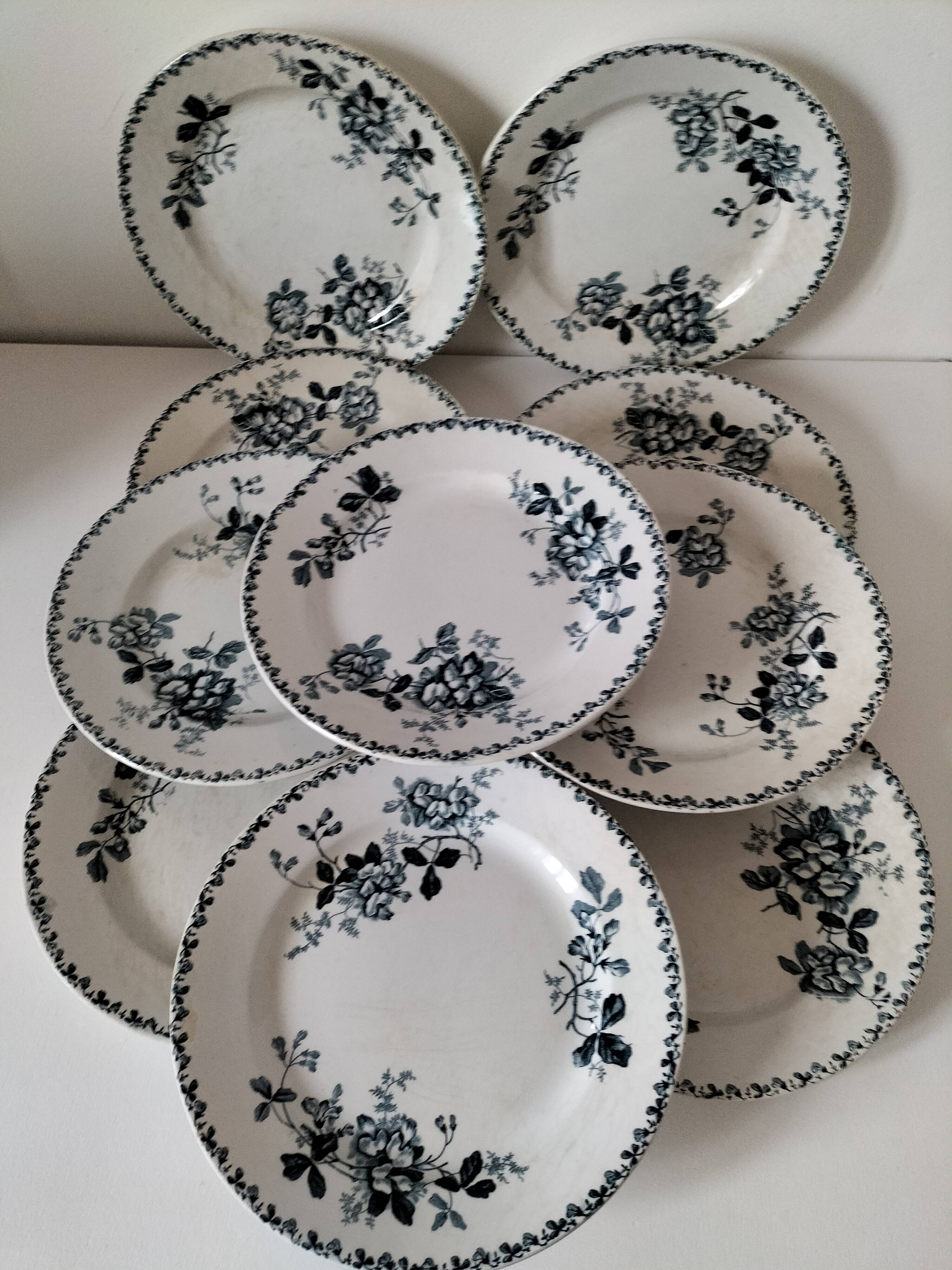 Set of 10 ironstone plates Moulin des Loups Acacia