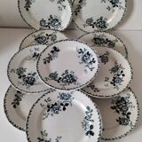 Set of 10 ironstone plates Moulin des Loups Acacia