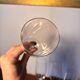 4 Baccarat Perfection champagne flutes