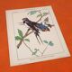 4 affiches Oiseaux, Papillons, Nid