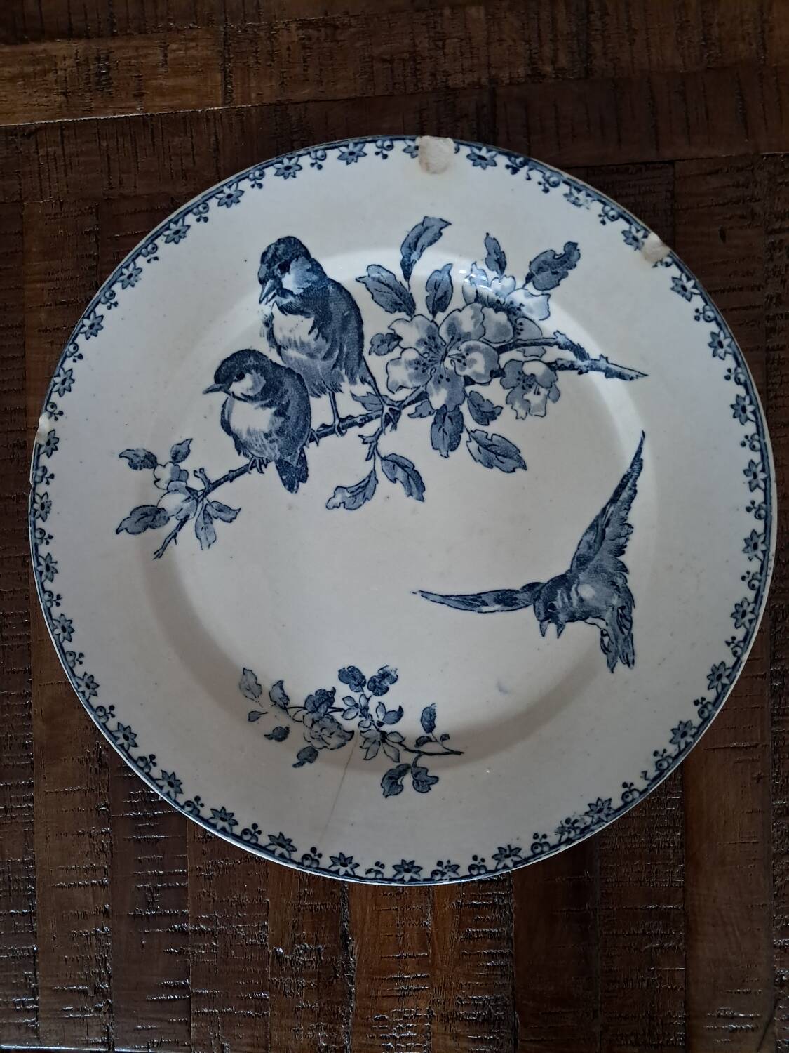 Sarreguemines Flat Plates Favorite Blue Model