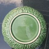 Cabbage leaf slurry plate