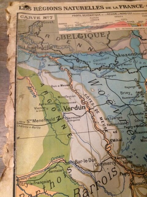 School card no. 7 Paul Kaeppellin Northeast region