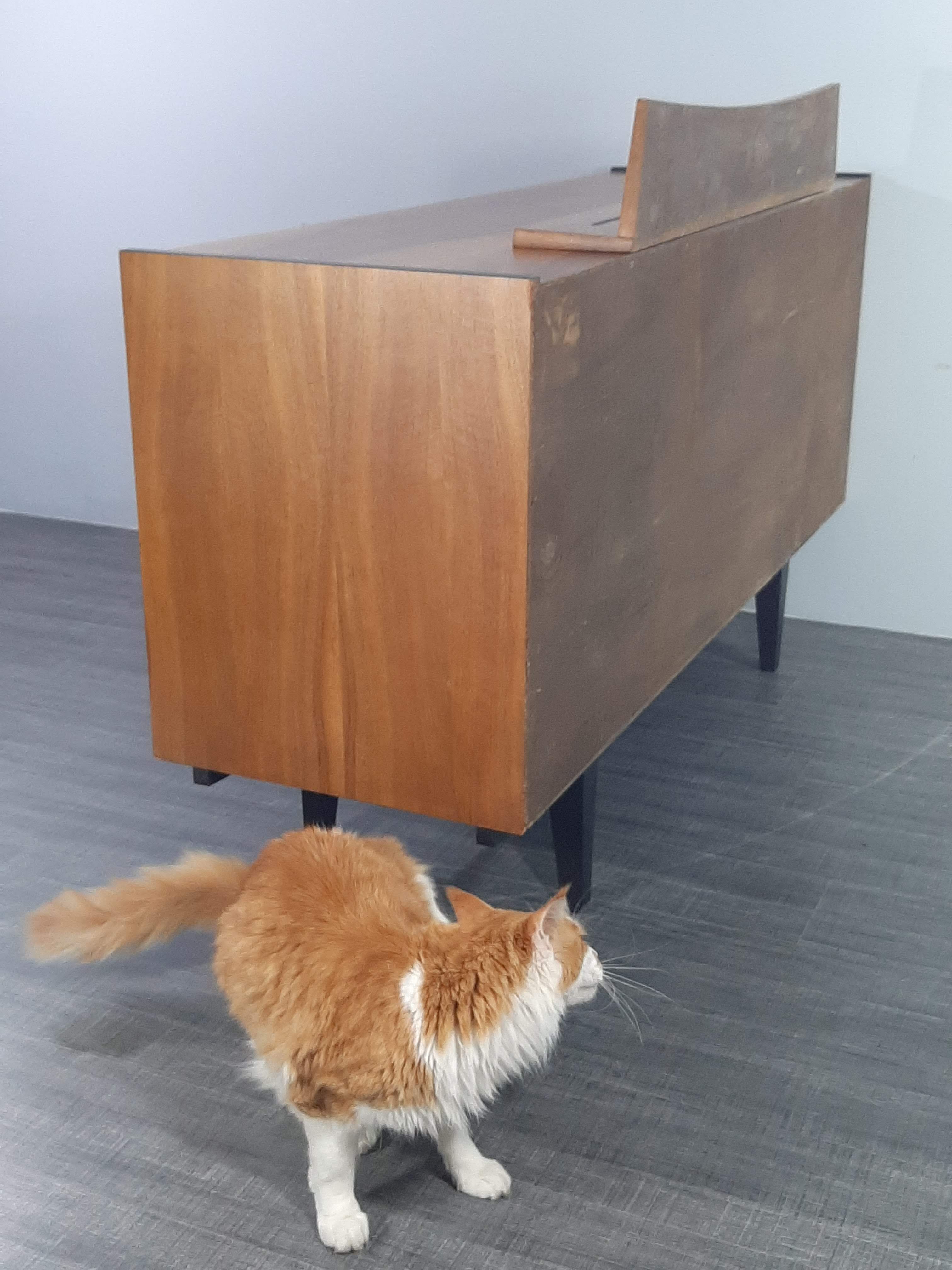 Enfilade rajmund hałas en noyer mid-century polonais 1960s