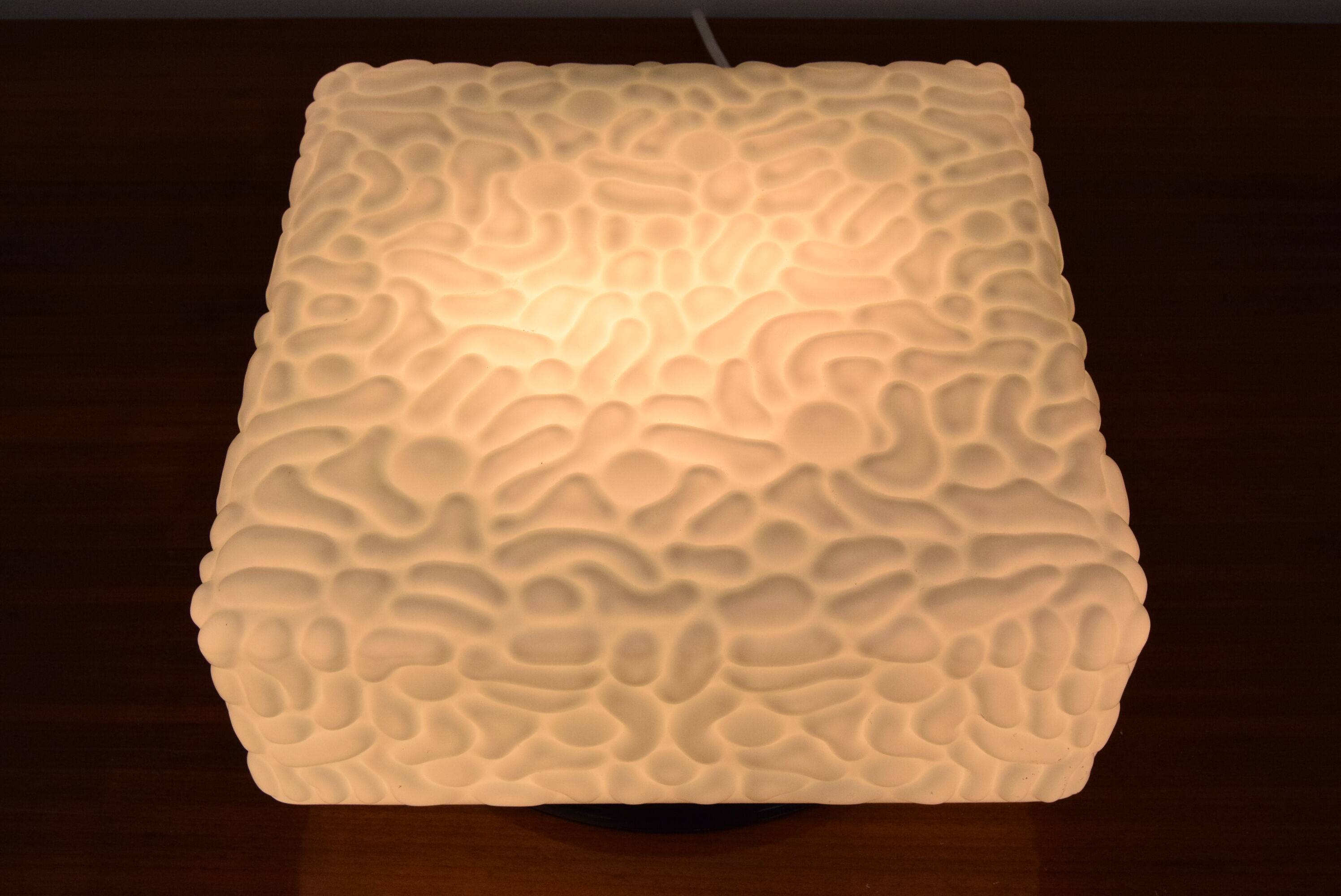 Mid-century Wall or Ceiling light,1970's.