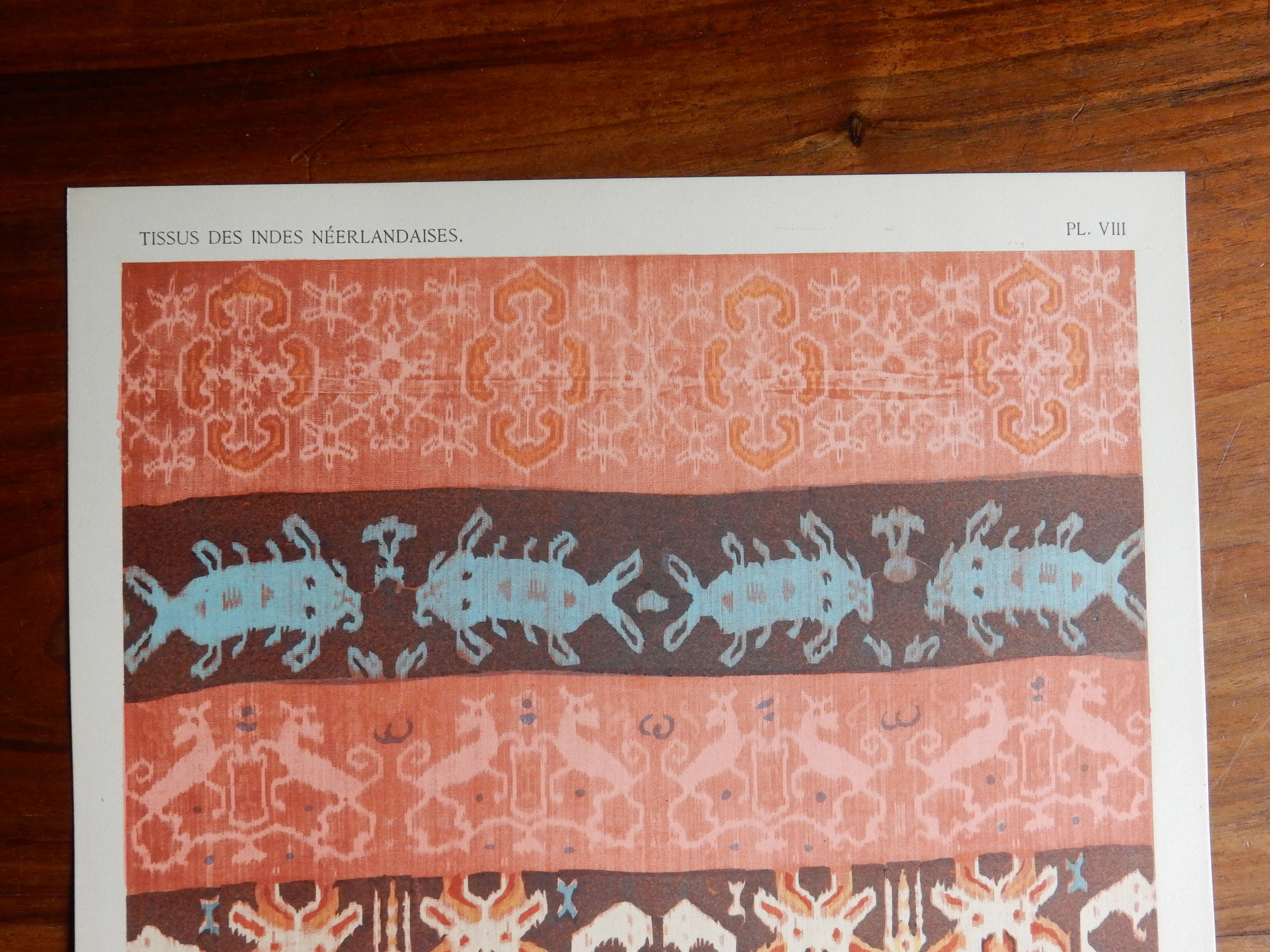 Old illustrative plate funerary fabric color of the Dutch East Indies 1930