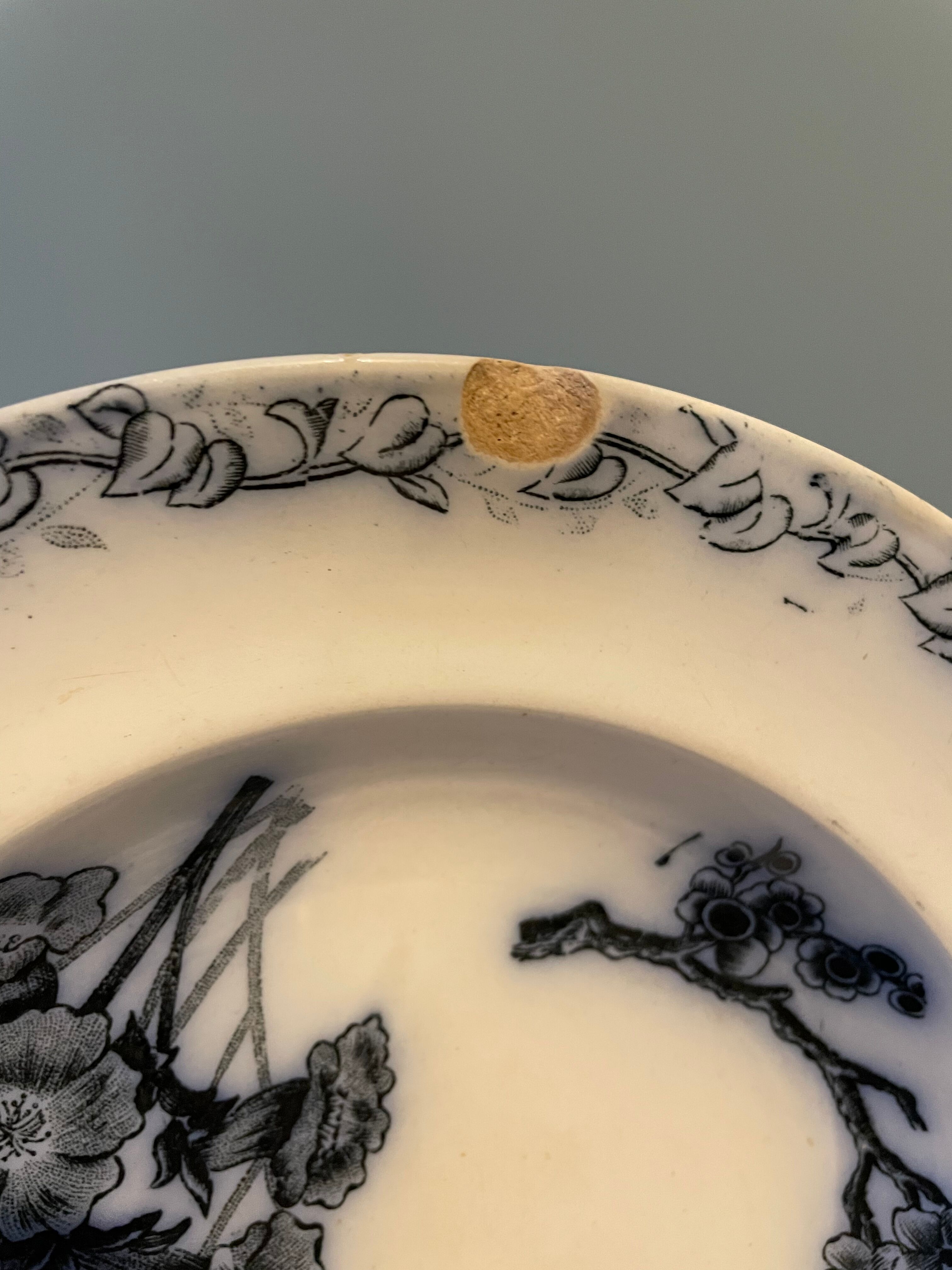 Set of 4 hollow plates Terre de Fer