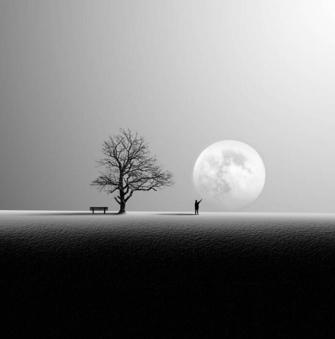 Nature photo