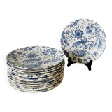 Paradiso 12 assiettes plates Villeroy Boch