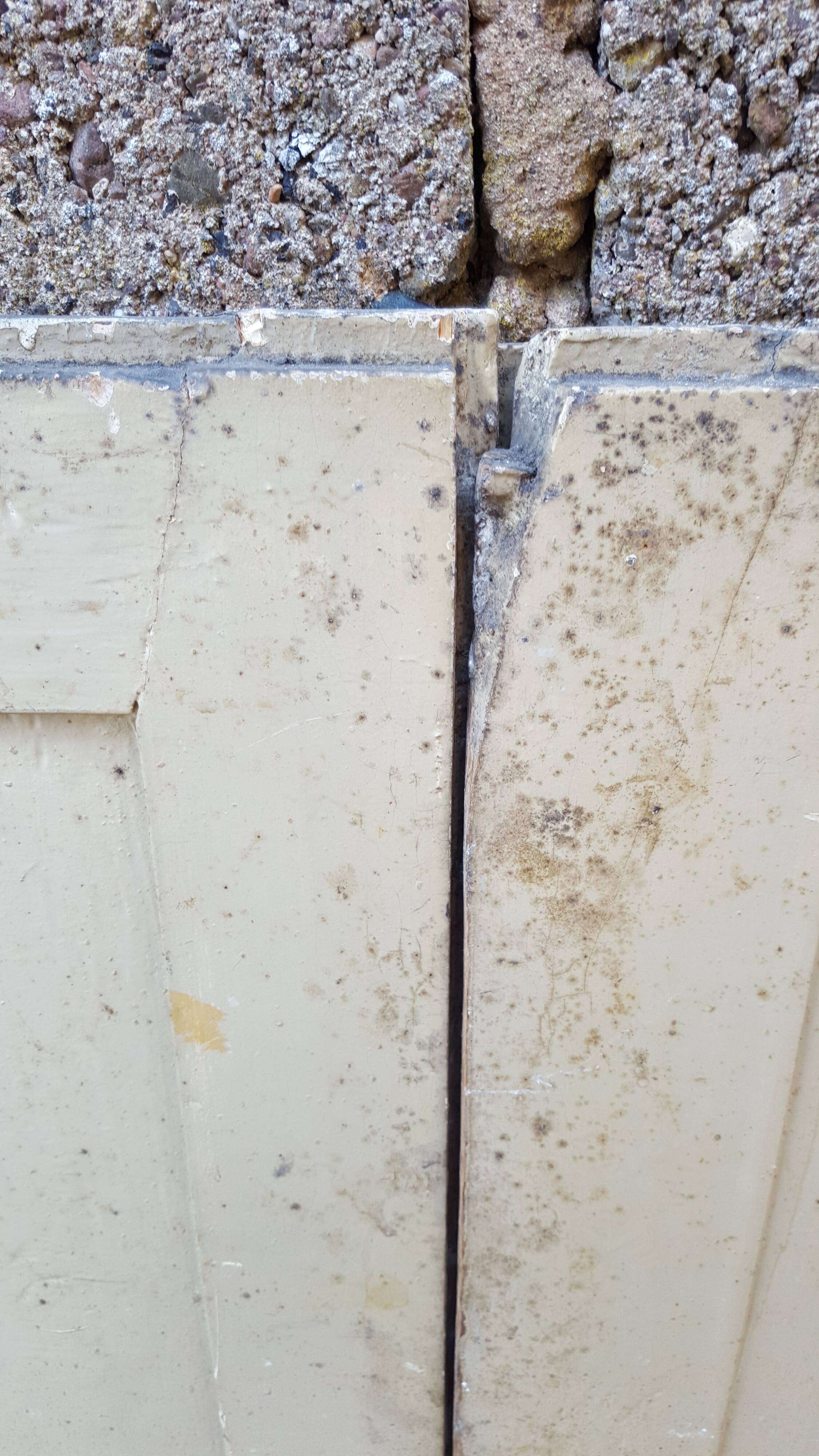 Pair of old white painted fir closet doors