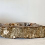 Petrified wood catchall