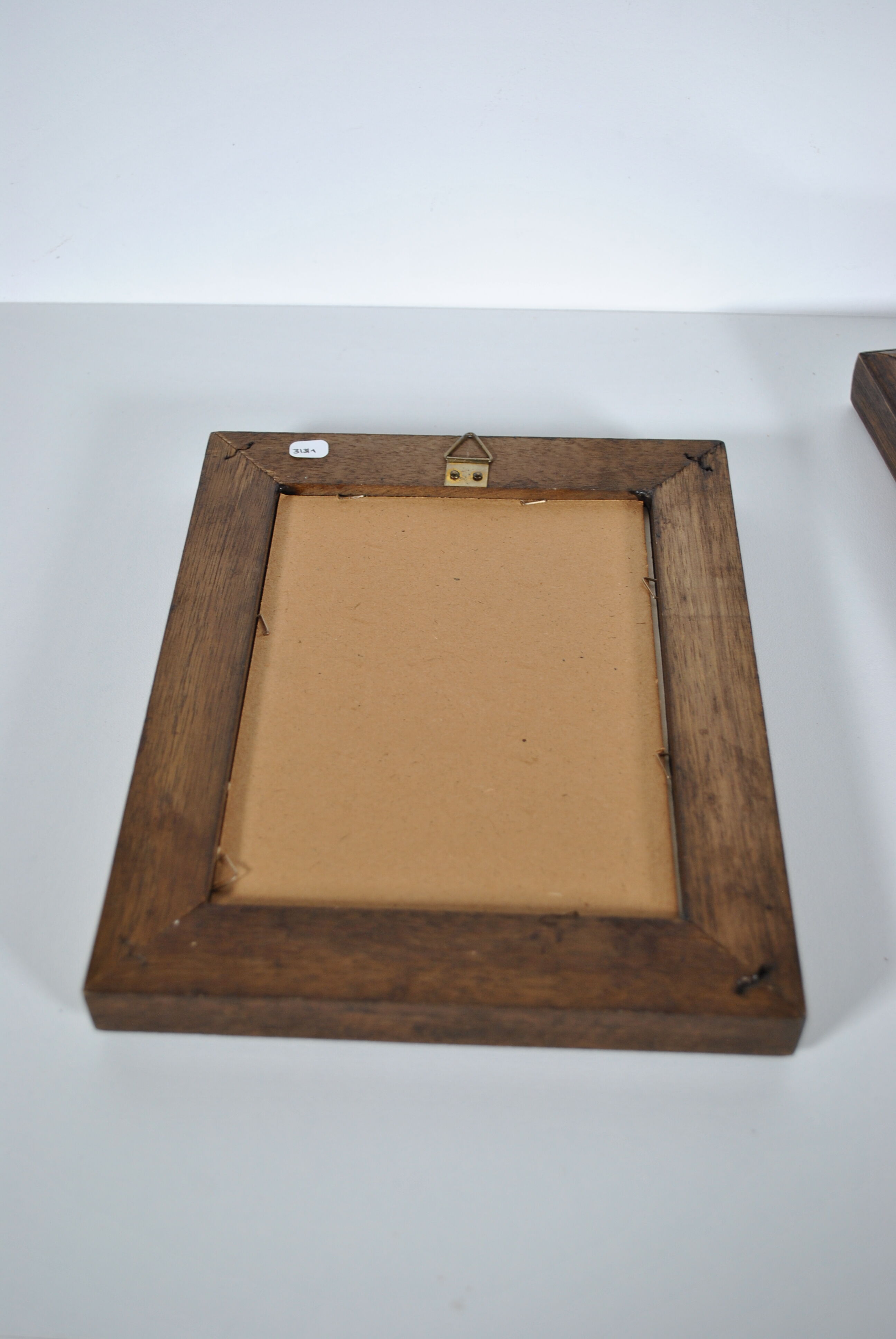 Botanical illustration tables 1960