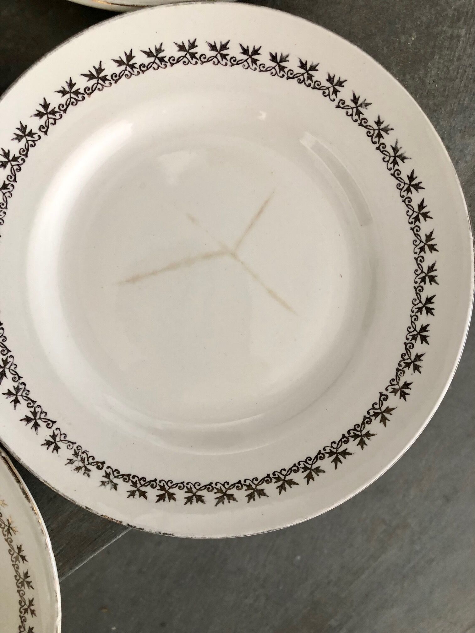 6 Digoin & Sarreguemines dessert plates